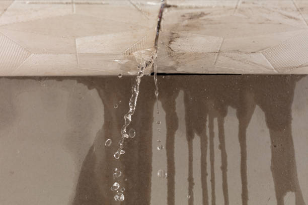 Professional Water Extraction technician working in Melrose, NY